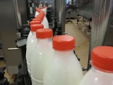 Problemy branży mleczarskiej w związku z protestem przewoźników. Producenci apelują o podjęcie działań