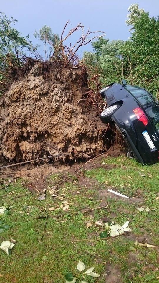 Burza w Poznaniu: Brak prądu, połamane drzewa, zalane przejście podziemne [ZDJĘCIA CZYTELNIKÓW]