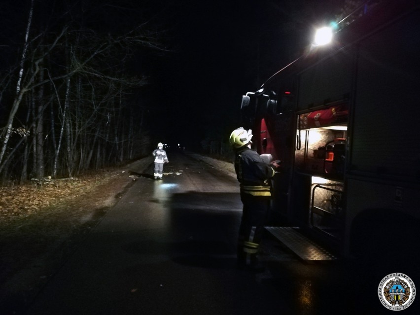 Silny wiatr w Podlaskiem. Strażacy usuwali konary drzew [zdjęcia]