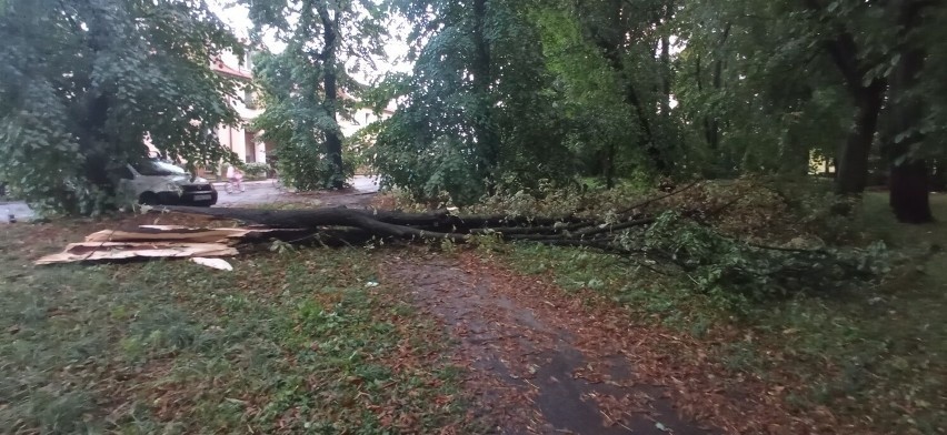 Potężna ulewa w Malborku. Zalane ulice, połamane drzewa 27.08.2022 ZDJĘCIA
