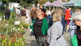 Zielone Ogrody nad Odrą w Nowej Soli. Jesienna edycja kiermaszu ogrodniczego przyciąga tłumy fanów roślin