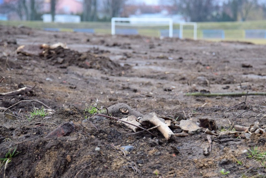 Na stadionie Goplanii Inowrocław znaleziono dziś ludzkie...