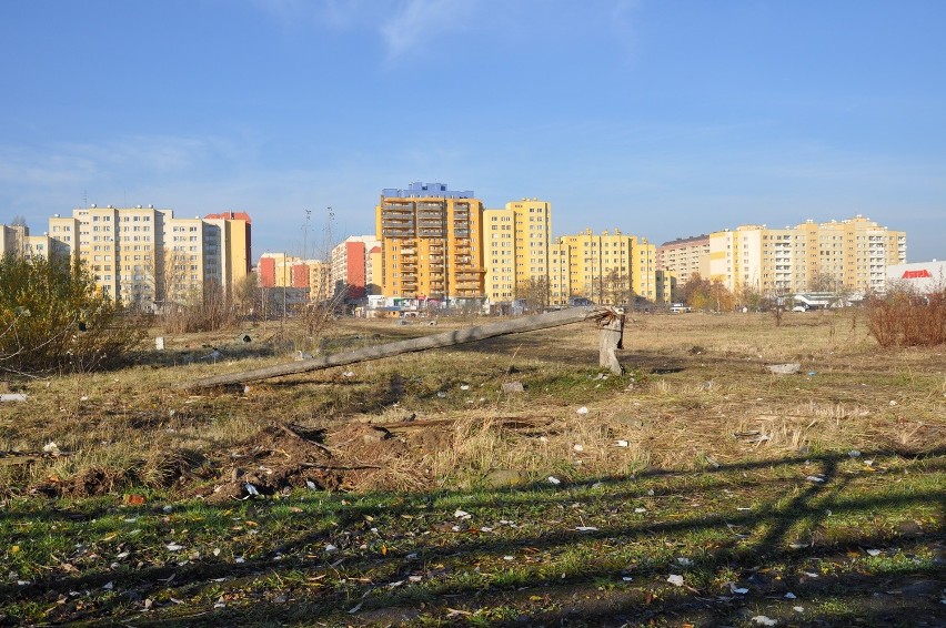 W najbliższych tygodniach na zaniedbanym placu powstanie...