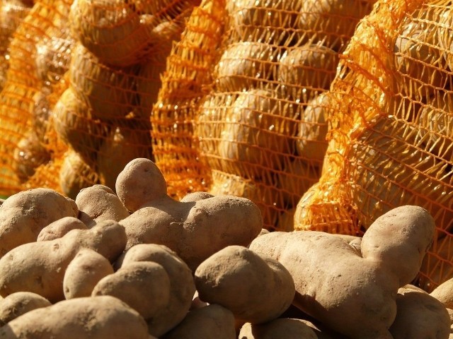 Co się stanie jak zjem surowego ziemniaka?Sprawdź jakie objawy mogą wystąpić po zjedzeniu surowego ziemniaka. Mogą być niebezpieczne.