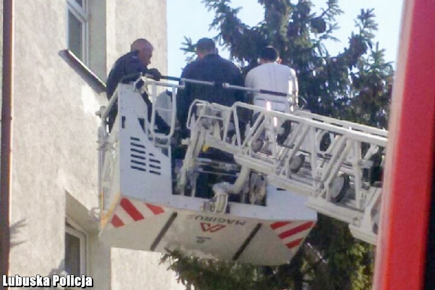 Uciekł przed policją na drzewo. Spędził na nim dwie godziny. On i kolega byli poszukiwani [ZDJĘCIA]