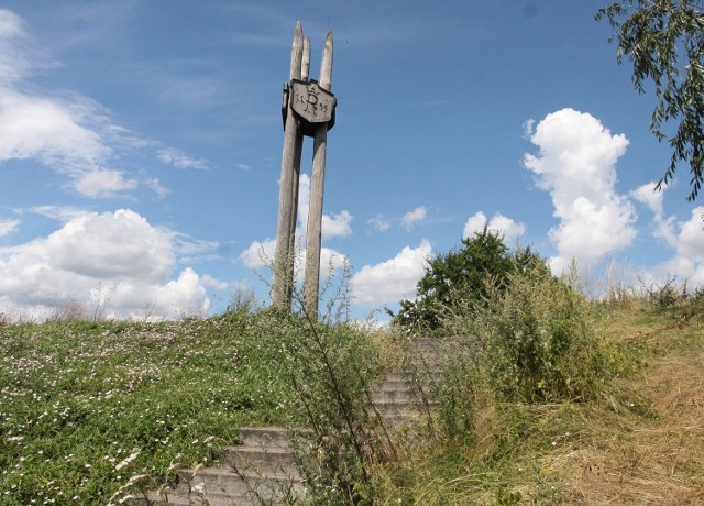 Chwasty i wysoka trawa na radomskiej Piotrówce