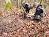 W lesie w Motkowicach znaleziono ponad 150 niebezpiecznych pocisków, granatów, amunicji i zapalników z II wojny światowej. Zdjęcia