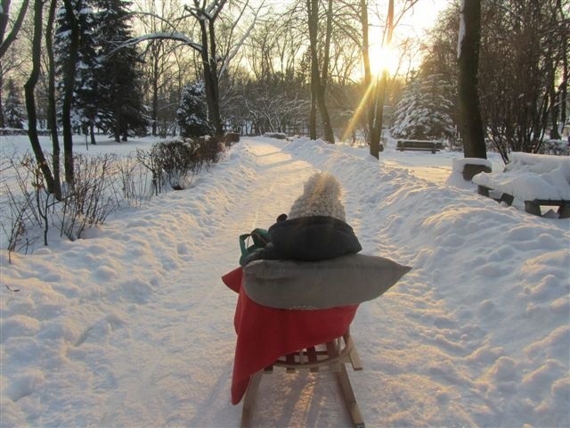 Wyszkowski park w zimowej szacie - zapraszamy do obejrzenia zdjęć