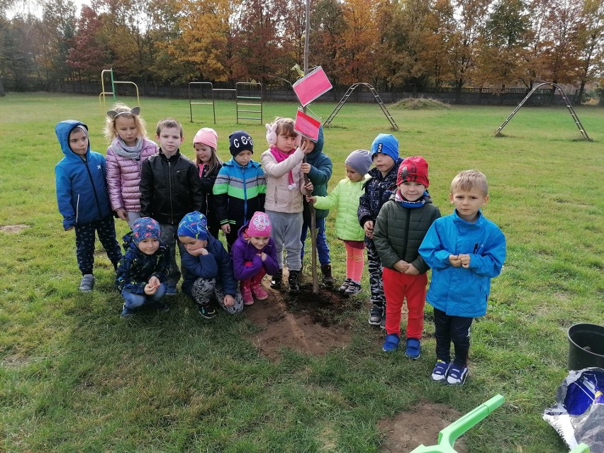 Przedszkolaczki z Rozwad zasadziły drzewo.