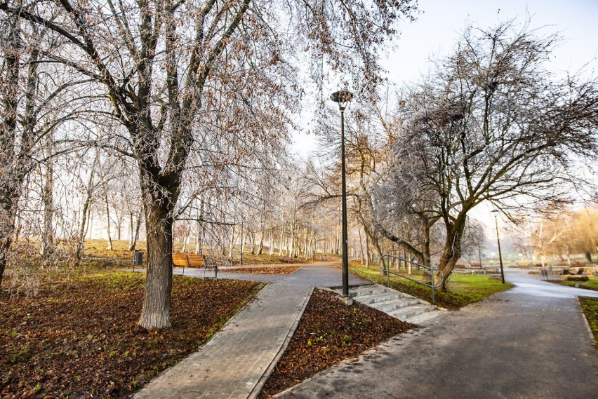 Kraków. Park Tysiąclecia w Mistrzejowicach wypiękniał na zimę [ZDJĘCIA]