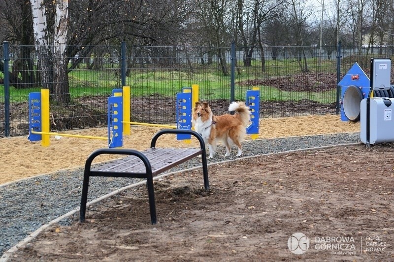 Dąbrowa Górnicza: nowy wybieg dla psów na Podlesiu ZDJĘCIA