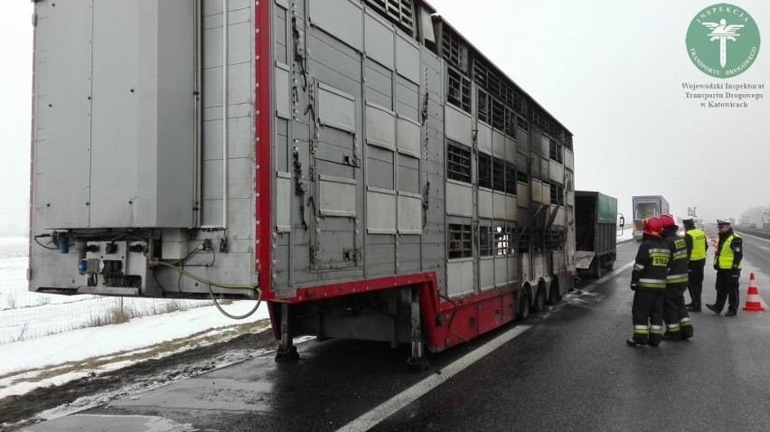 Wypadek na A4: zwierzęta spłonęły w ciężarówce [ZDJĘCIA]