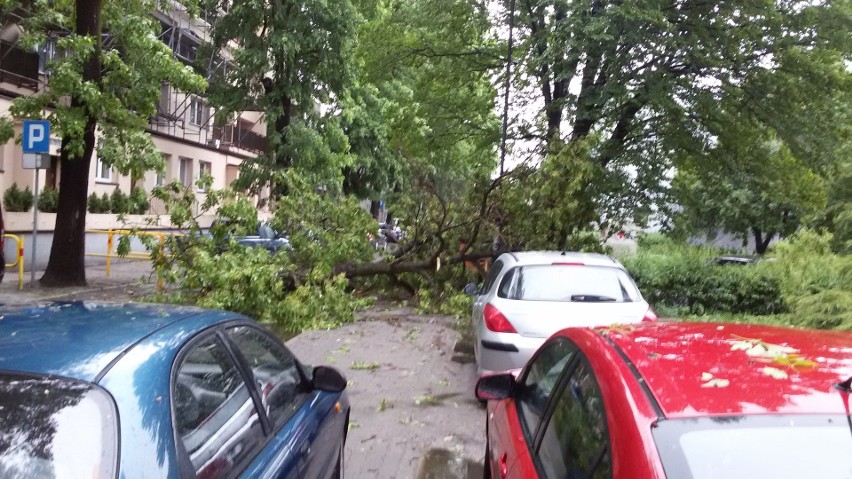 Najgorzej jest na ul. Fredry, Piłsudskiego, Czarneckiego i...