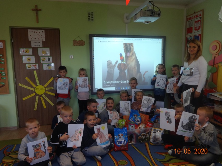 Przedszkolaki z Kozłowa w gminie Małogoszcz przekazały karmę...