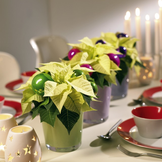 Dekoracje świąteczne na stół wigilijny: Jak go przystroić?