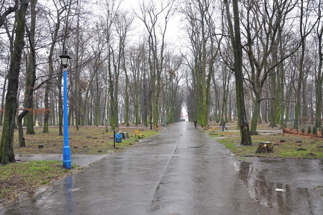 Tak dziś wygląda Park Miejski w Sandomierzu.Już niedługo mocno się zmieni.