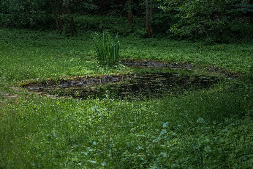 Spacer na Górę Parkową grozi skręceniem kostki