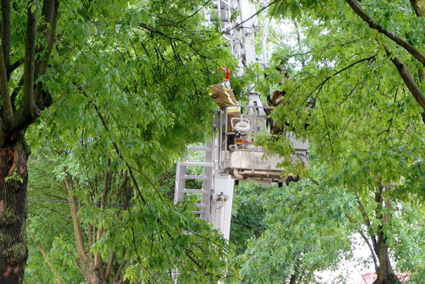 Interwencja strażaków na ul. Wyspiańskiego w Lublinie po uderzeniu pioruna. Zobacz zdjęcia