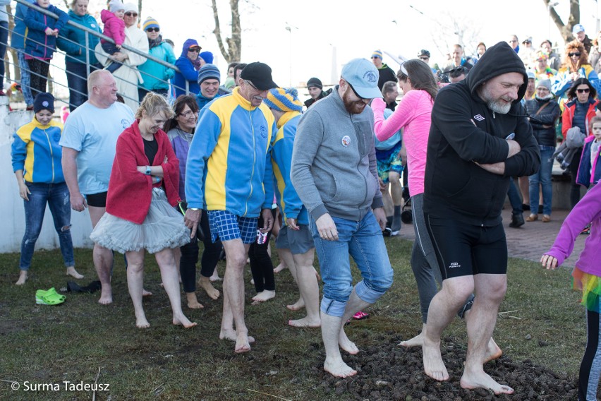 Stargardzki Klub Morsów Miedwianie zakończył sezon zimnych kąpieli [ZDJĘCIA, WIDEO]