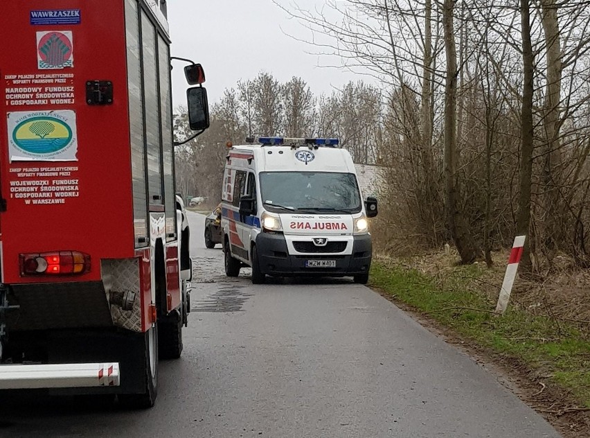 BMW uderzyło w drzewo na drodze lokalnej w Chechłach w gminie Policzna. Kierującą nim kobietę i jeszcze drugą osobę przewieziono do szpitala