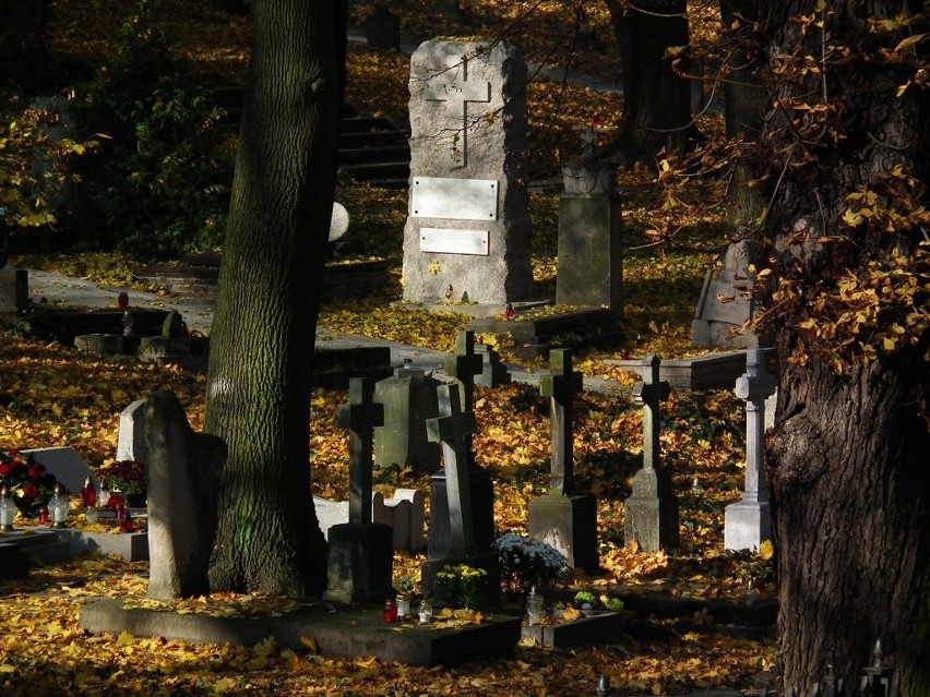Cmentarz Zasłużonych Wielkopolan