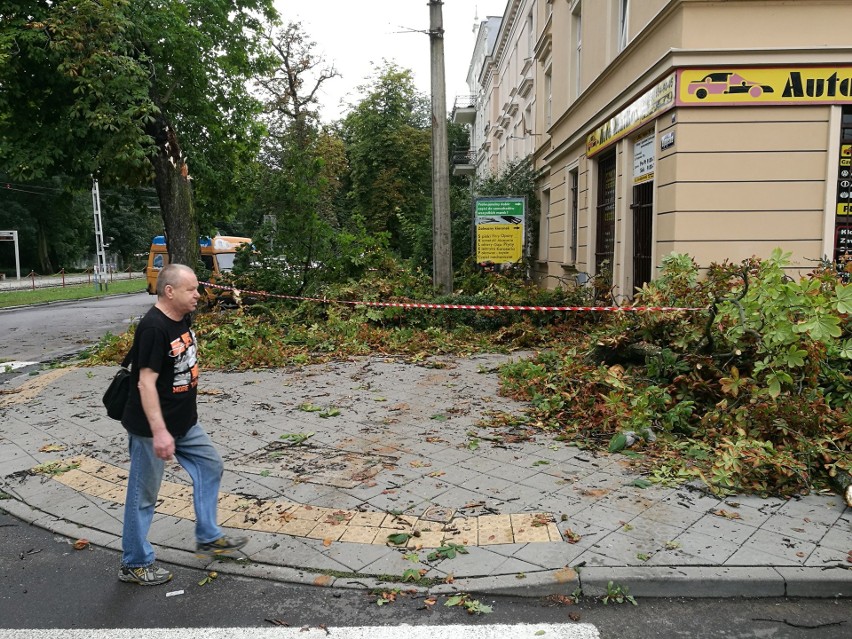 Krajobraz po burzy w Toruniu. 31 interwencji straży pożarnej...