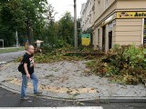 Krajobraz po burzy w Toruniu. 31 interwencji straży pożarnej [ZDJĘCIA, WIDEO]