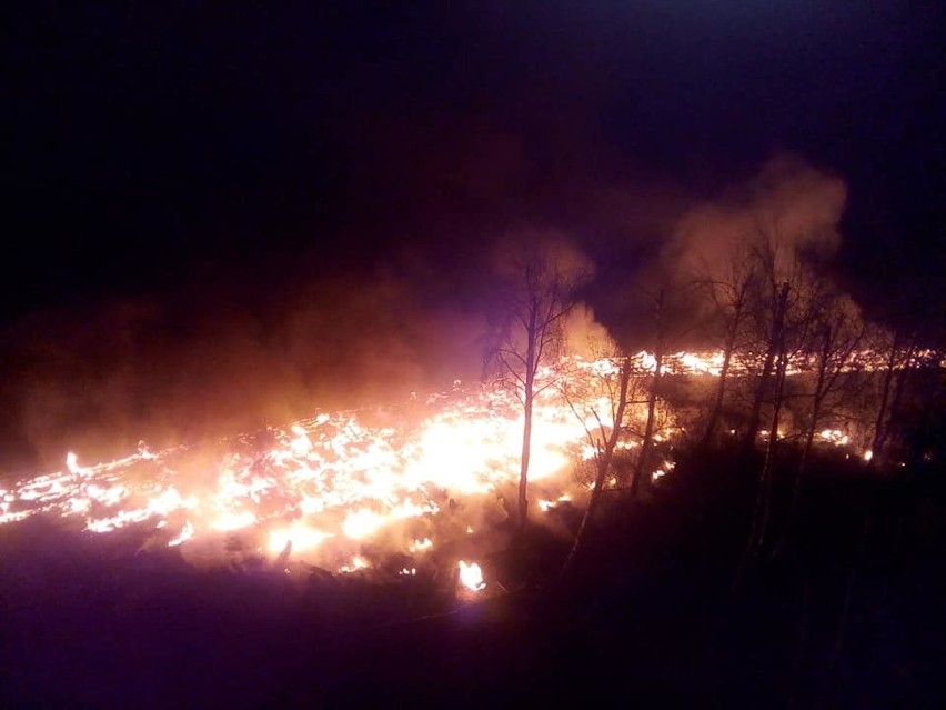 Pożar w Trzebieży. Spłonęły pomosty, które były atrakcją miejscowości [ZDJĘCIA]