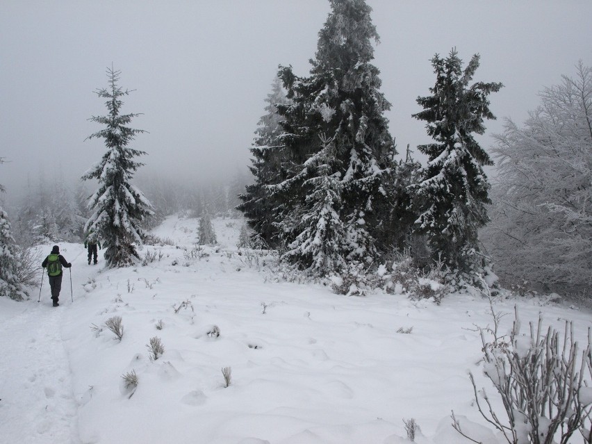 Beskidy Wielka Racza Zima 2015