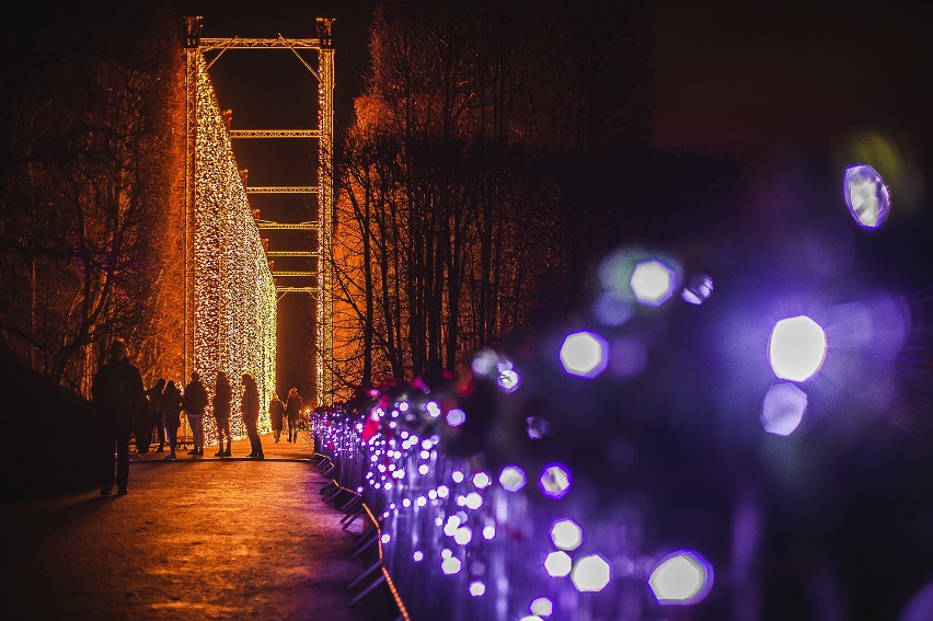 Iluminacje świąteczne w Parku Oliwskim.