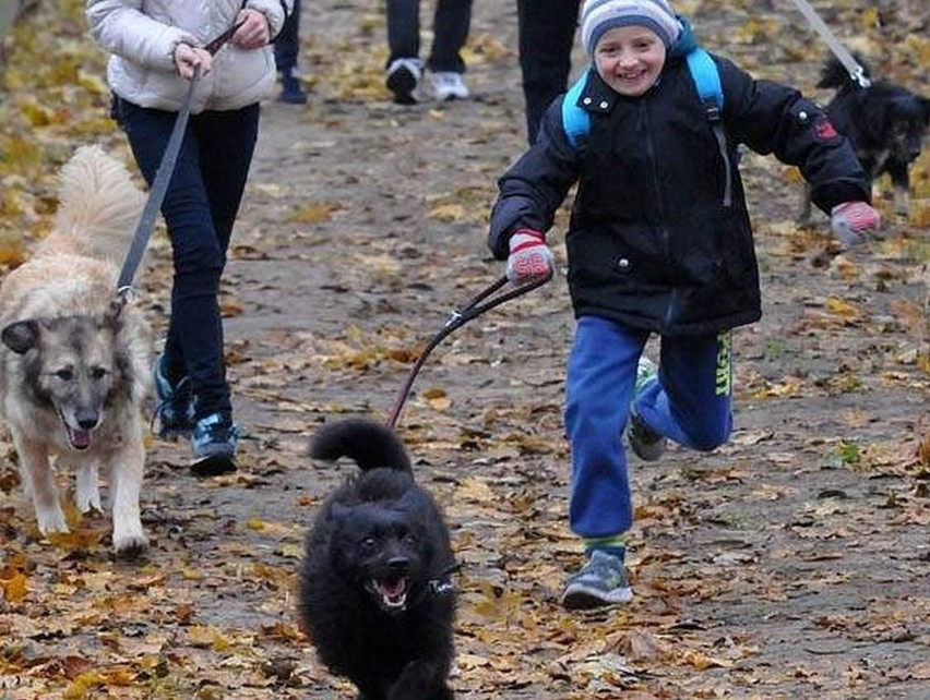 Bydgoski bieg na sześć łap już za nami [zobacz zdjęcia]