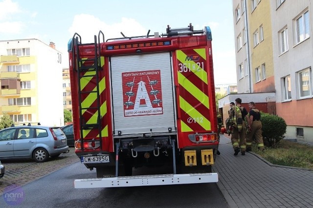 Straż pożarna została zadysponowana do zabezpieczenia stawu w Parku na Słodowie we Włocławku.