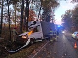 Wypadek w Dąbrowie Górniczej. Dziki wybiegły na drogę, samochód dostawczy wjechał w drzewo