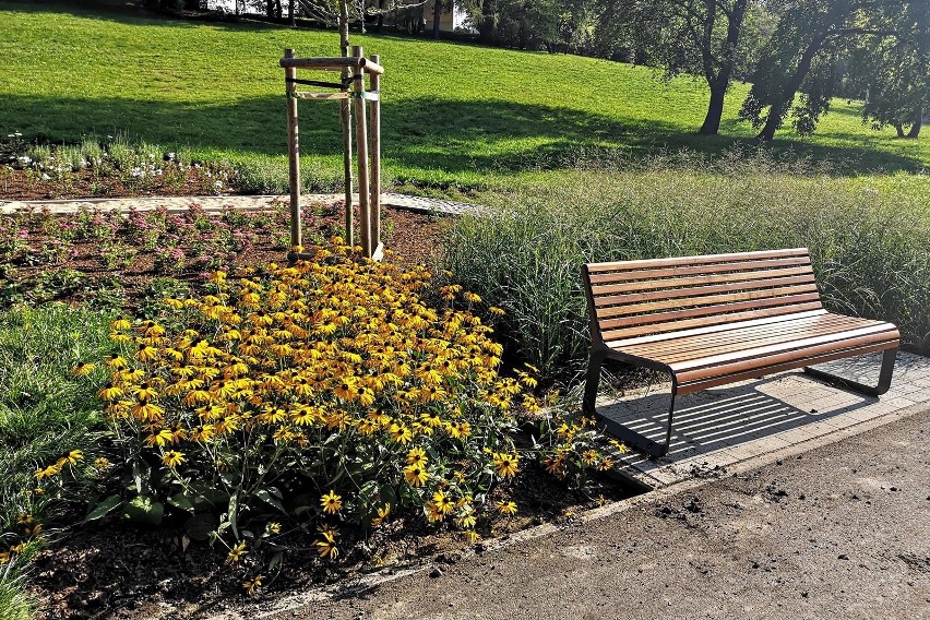 Kraków. Dobiegają końca prace rewitalizacyjne w Parku Tysiąclecia. Zobaczcie, jak tam będzie ładnie [ZDJĘCIA]