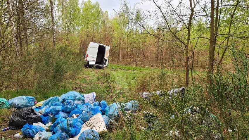 Przyłapani na gorącym uczynku jak wyrzucali kilkadziesiąt worków ze śmieciami w lesie! Dostali po 500 zł mandatu