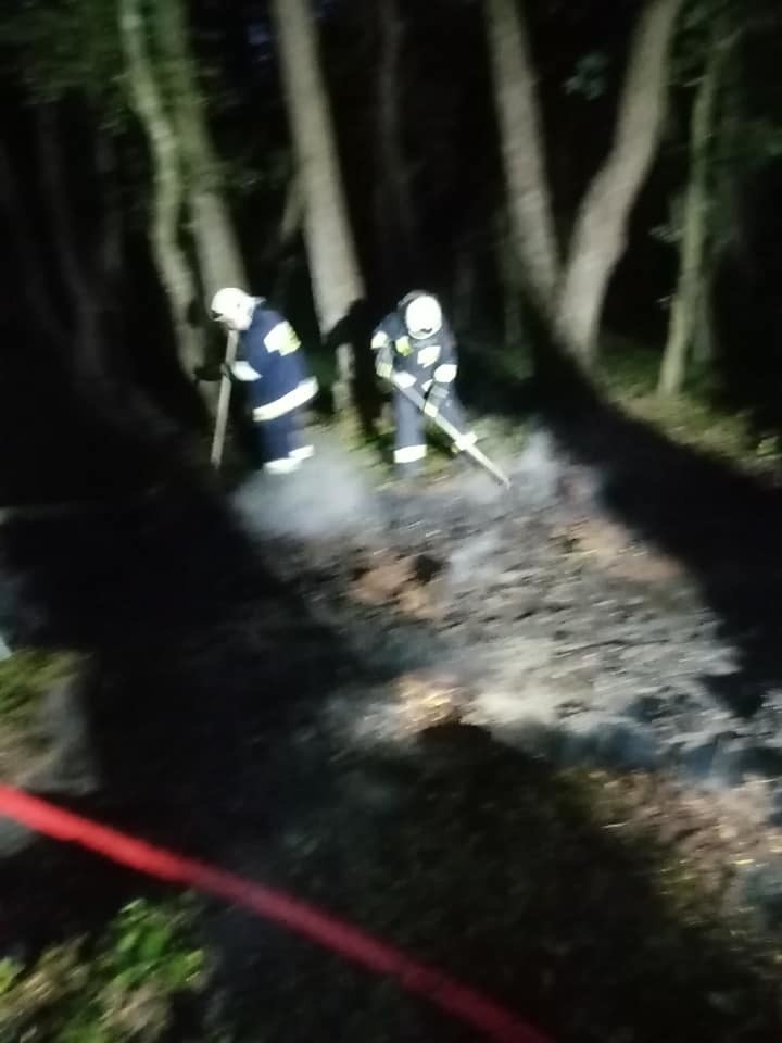 Pożar torfowiska w lesie. Strażacy z Gościna w akcji