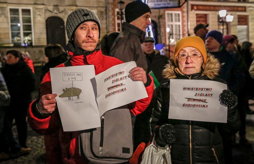 Gdański protest przeciwko masowemu odstrzałowi dzików,...