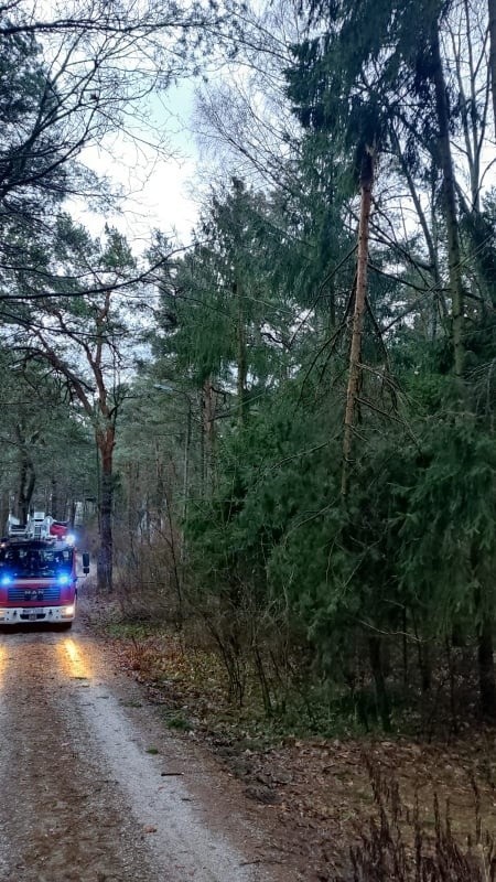 Wichura w powiecie wyszkowskim (29-31.01.2022). Zerwane dachy, połamane drzewa. Na szczęście nikt nie ucierpiał. Zdjęcia