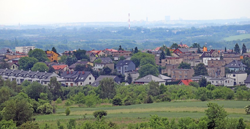 Zobacz kolejne zdjęcia. Przesuwaj zdjęcia w prawo - naciśnij...