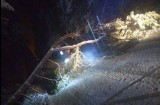 Wypadek w Ogrodzieńcu: Drzewo przygniotło samochód. Są ranni