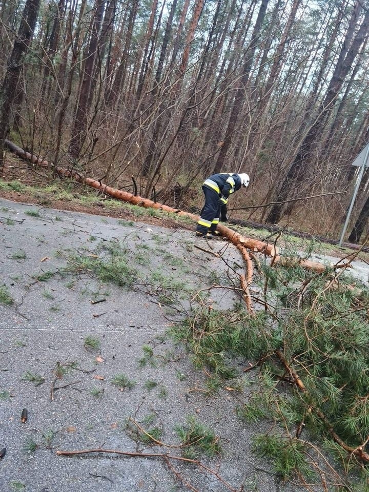 Wichura w powiecie ostrołęckim. Strażacy usuwali powalone drzewa, doszło też do zerwania dachu. 17.02.2022