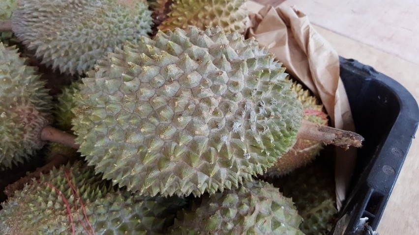 Ze względu na zapach durianów nie wolno wnosić do budynków...