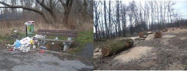 (zdjęcie z lewej)Te śmieci nad kieleckim zalewem leżą od listopada.(zdjęcie z prawej) Wycięte zostały topole rosnące nad zalewem od strony ulicy Klonowej, tymczasem po drugiej stronie akwenu ludzie spacerują pod odrywającymi się konarami drzew.