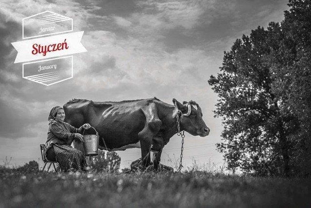 Kalendarz Związku Śląskich Rolników: wyraziste zdjęcia na 2017 rok