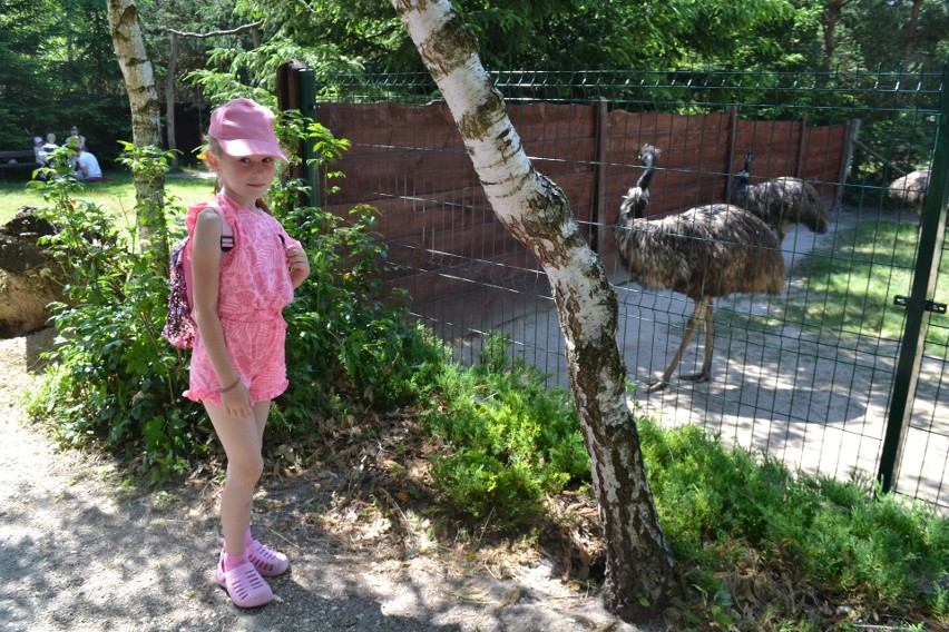 Dzieci z gminy Tuczępy rozpoczęły wakacje wycieczką do zoo. Zdjęcia
