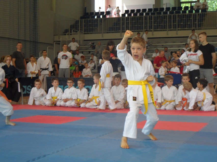 Bytom: Silesia Cup 2016 karate w Hali na Skarpie