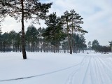 Na polu golfowym Karolinka Golf Park w Kamieniu Śląskim powstały tory do biegów narciarskich [ZDJĘCIA]