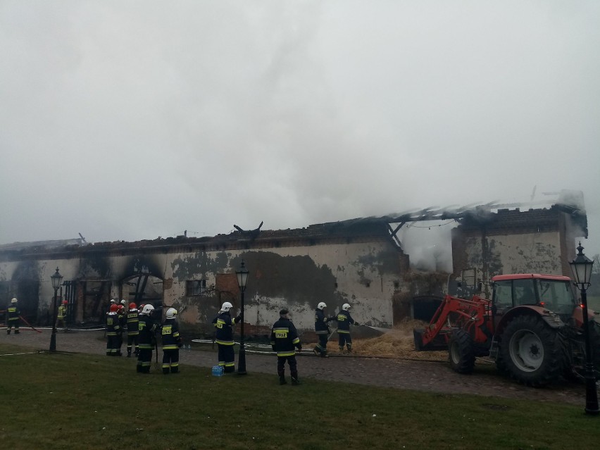 Spłonął budynek gospodarczy w Folwarku Pszczew. Straty idą w miliony [ZDJĘCIA]