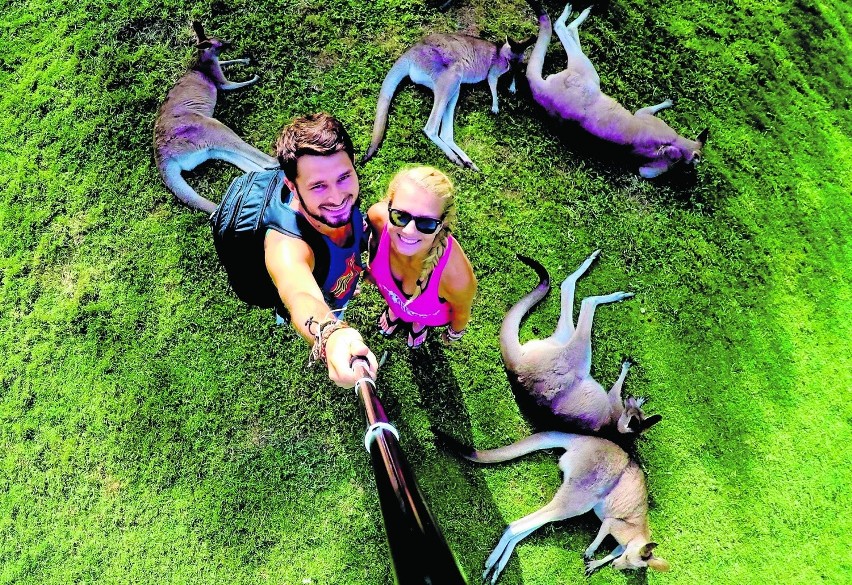 W Australii Malwina i Michał mieli małą sjestę z kangurami