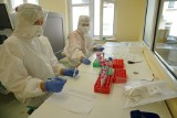 Laboratorium COVID-19 od środka. Zobacz na zdjęciach